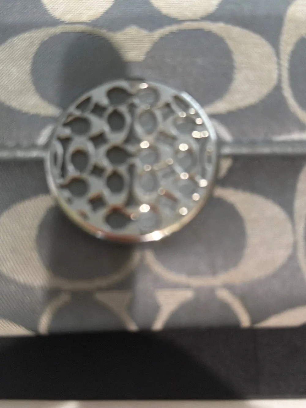 Coach signature print